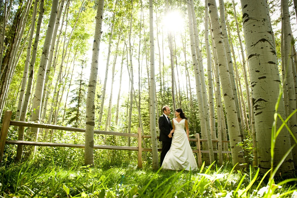 Wedding portrait — Courtney and Todd